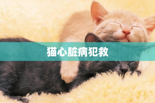 猫心脏病犯救